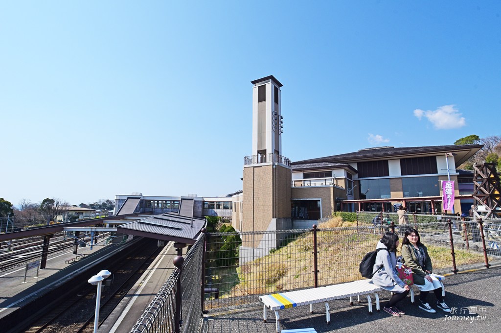 伊豆高原駅 櫻花紛飛的櫻並木隧道_img_8