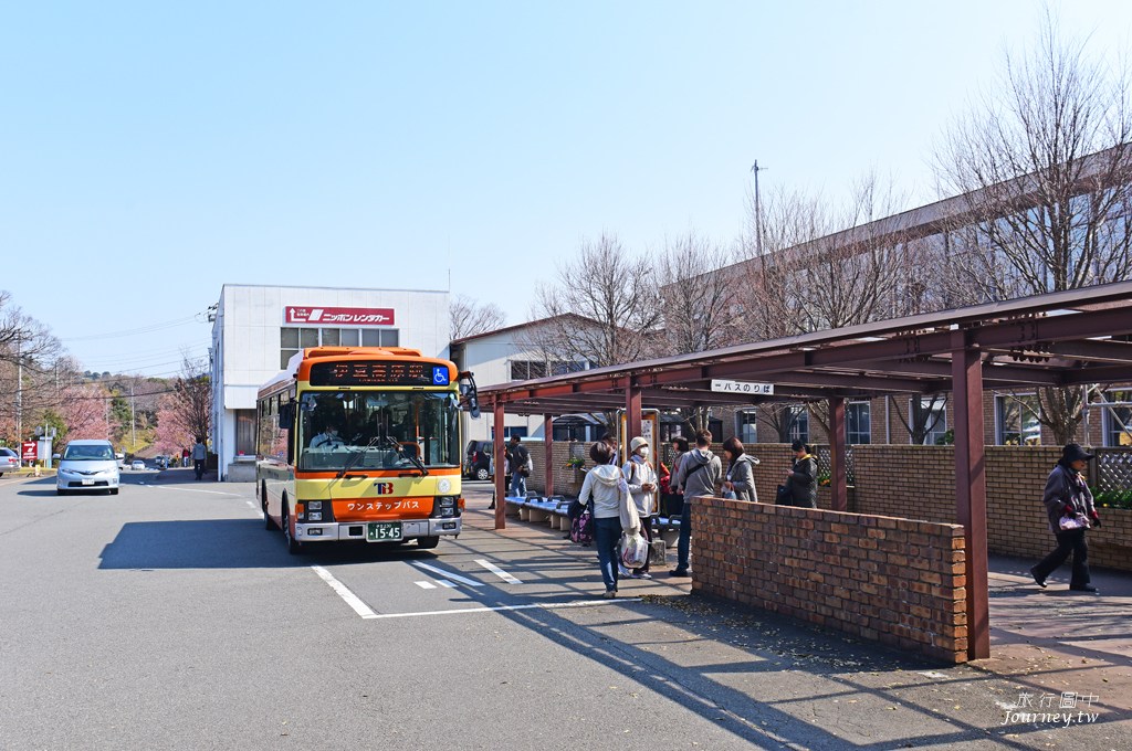 伊豆高原駅 櫻花紛飛的櫻並木隧道_img_9