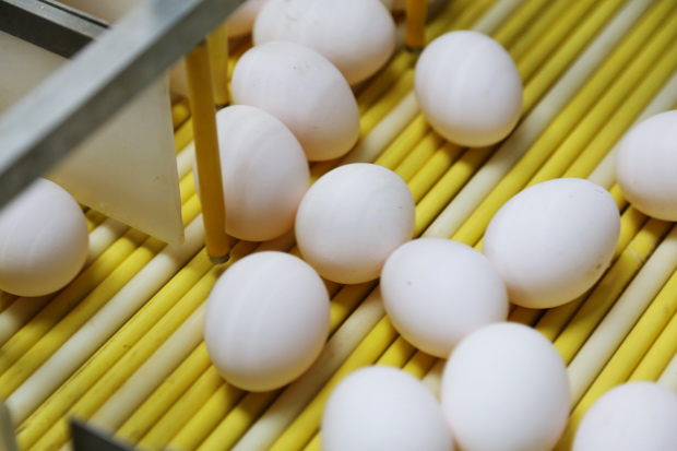 不用做到滿分!努力實踐最適合自己的養生法就好_img_1