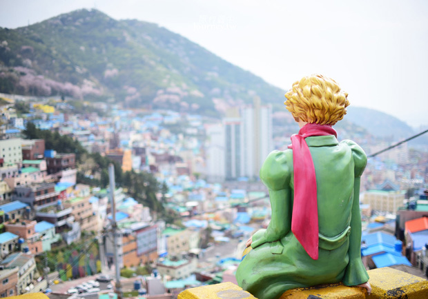 破解上帝的魔術方塊 ─ 甘川洞文化村_img_16