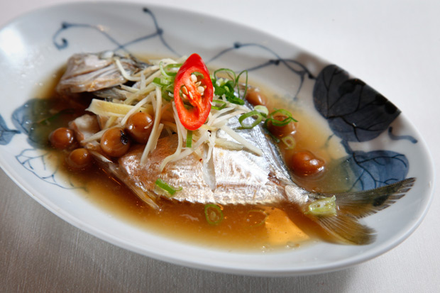 提升長輩想「吃」的慾望!中醫看失智症患者的飲食照顧_img_1