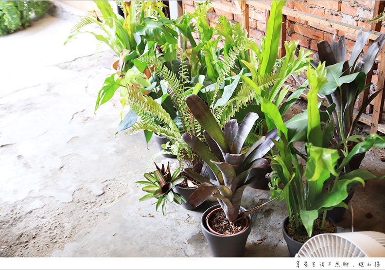 讓植物進入工廠 重新詮釋空間的意義_img_9