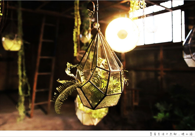 讓植物進入工廠 重新詮釋空間的意義_img_21