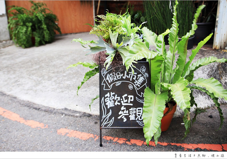 讓植物進入工廠 重新詮釋空間的意義_img_23