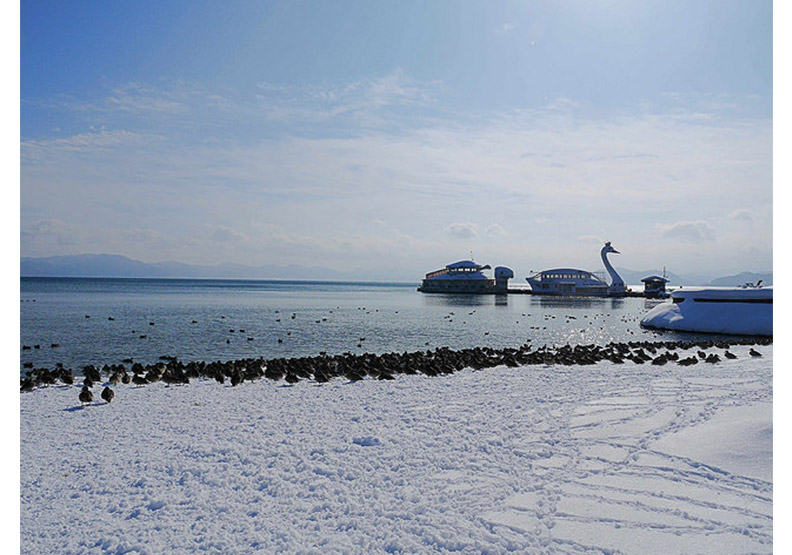 認識日幣一千元上的人:野口英世、長濱猪苗代湖餵天鵝、水鴨_img_12