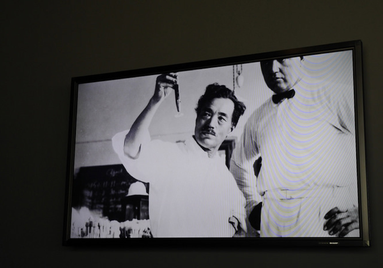 認識日幣一千元上的人:野口英世、長濱猪苗代湖餵天鵝、水鴨_img_21