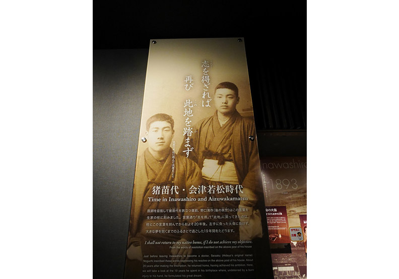 認識日幣一千元上的人:野口英世、長濱猪苗代湖餵天鵝、水鴨_img_22