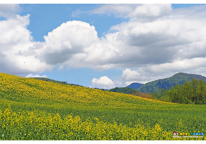 福島的夏日鐵道與租車自駕小旅行_img_31