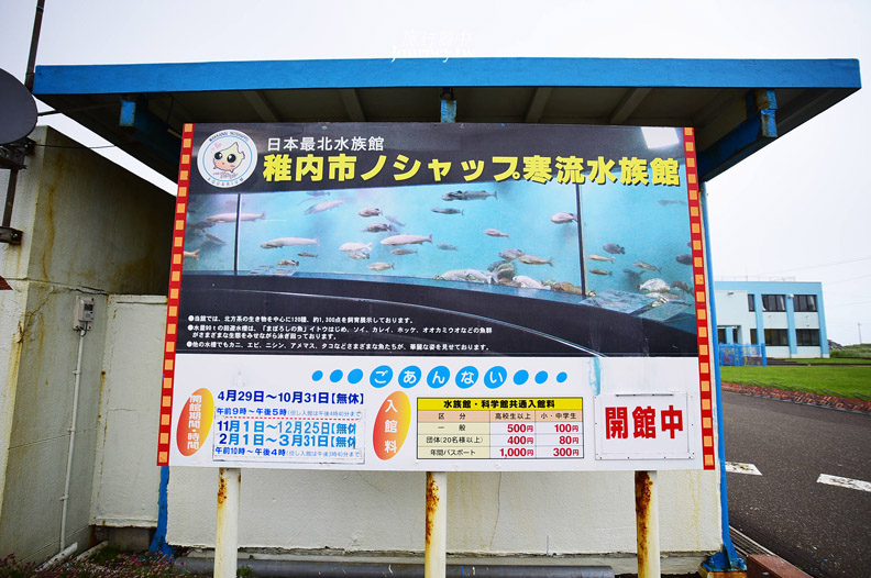 全日本最北的水族館遇見「波妞」_img_1