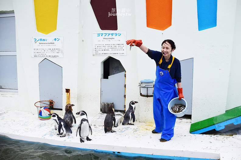 全日本最北的水族館遇見「波妞」_img_18