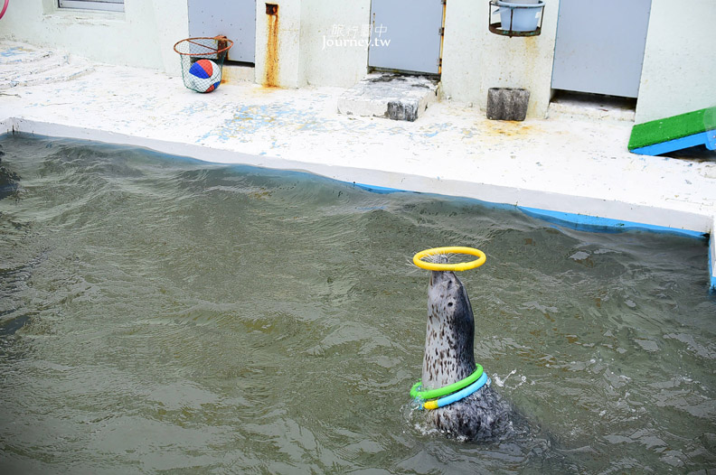 全日本最北的水族館遇見「波妞」_img_22