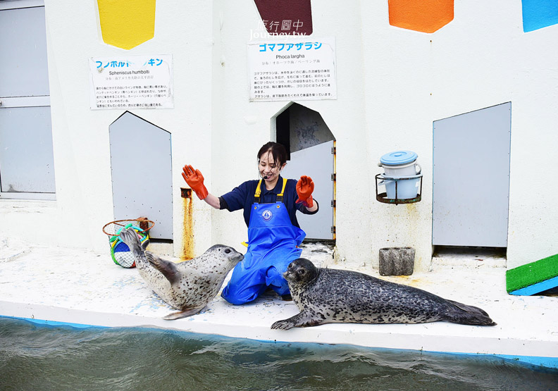 全日本最北的水族館遇見「波妞」_img_19