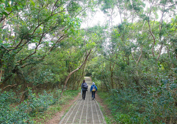 胸悶、頭暈腦脹…中醫帶你看自律神經失調_img_1
