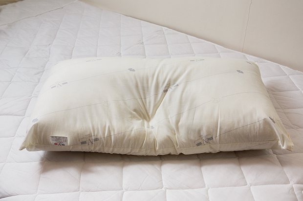 過敏再見!譚敦慈的臥室除蟎技巧大公開_img_3