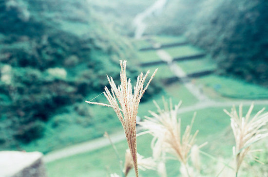 連外媒也爭先報導！全台絕美4大秘境你去過幾處？_img_1