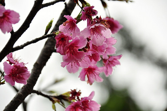 全台人氣主題樂園大點名 趁週末帶著小朋友一起重溫童年美好時光吧！_img_7