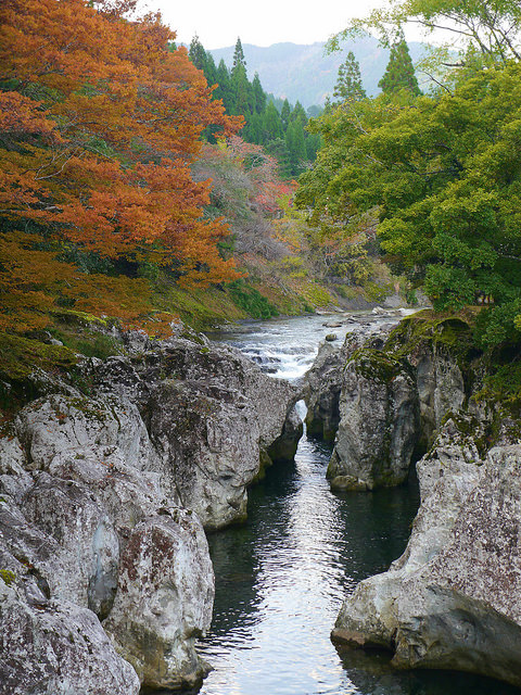 日本國天然紀念物：猿飛甌穴群．稻草人祭典_img_15