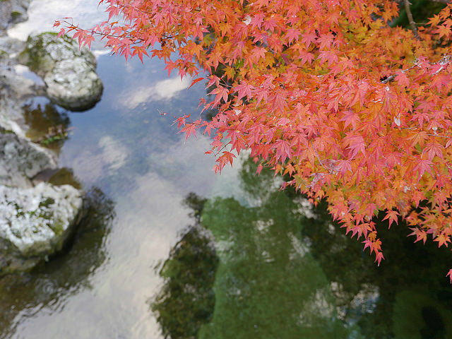 日本國天然紀念物：猿飛甌穴群．稻草人祭典_img_16