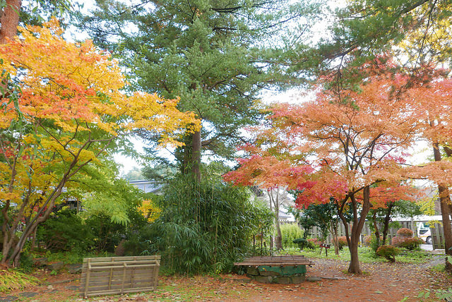 武士大宅院「西宮家」古蹟重生好範例_img_11