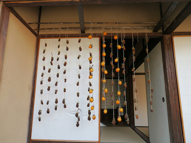 認識日幣一萬元上的這個人：福澤諭吉_img_5