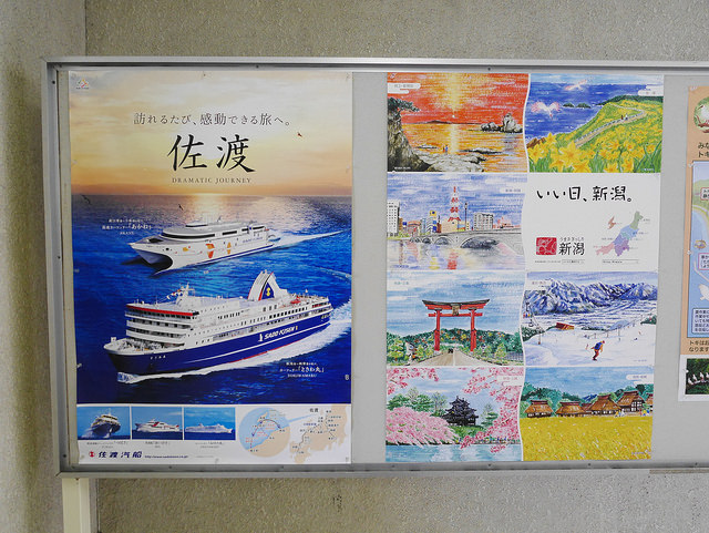 新潟佐渡島：船舶、海鷗、遼闊海景！_img_1