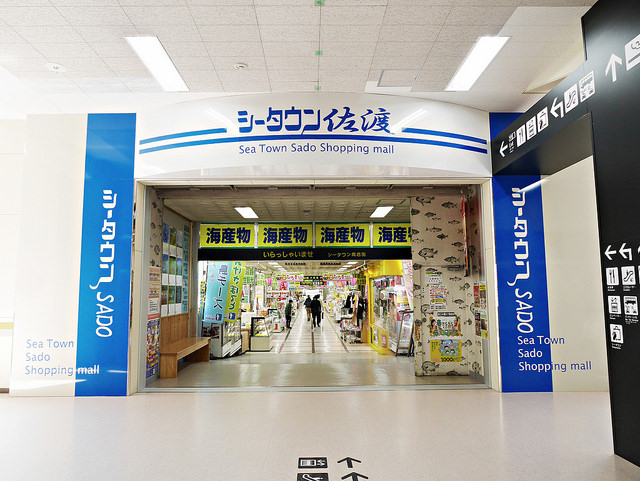 新潟佐渡島：船舶、海鷗、遼闊海景！_img_29