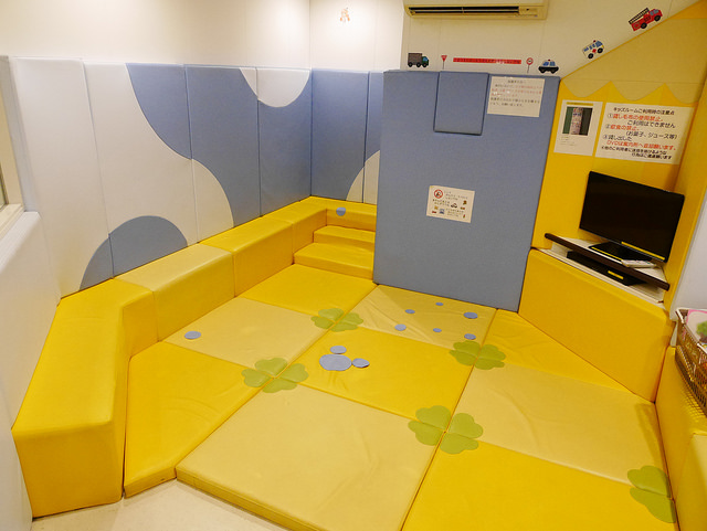 新潟佐渡島：船舶、海鷗、遼闊海景！_img_9