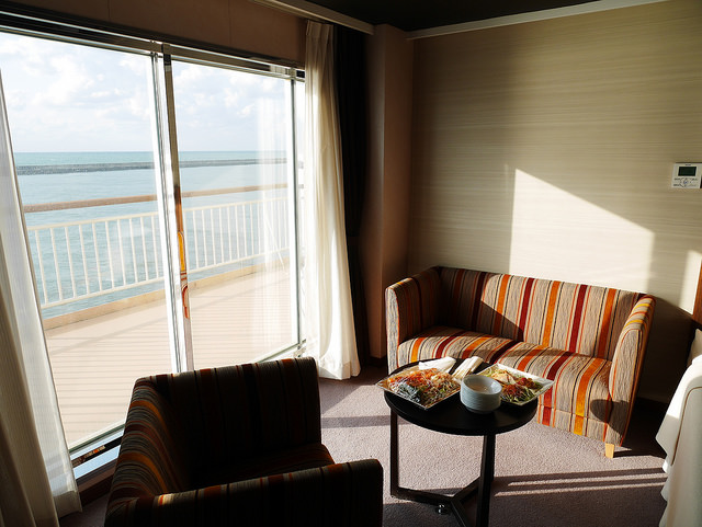 新潟佐渡島：船舶、海鷗、遼闊海景！_img_19