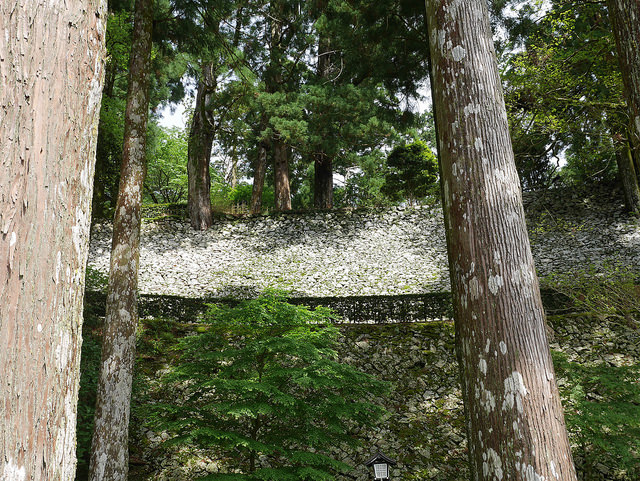 搭西日本最長空中纜車 朝聖弘法大師曾修行的「太龍嶽」_img_18