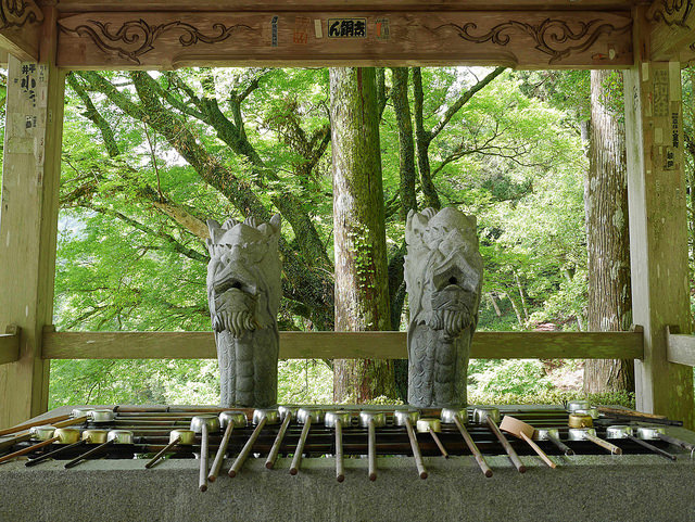 搭西日本最長空中纜車 朝聖弘法大師曾修行的「太龍嶽」_img_39