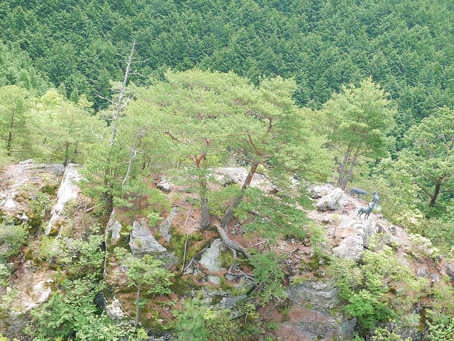搭西日本最長空中纜車 朝聖弘法大師曾修行的「太龍嶽」_img_16