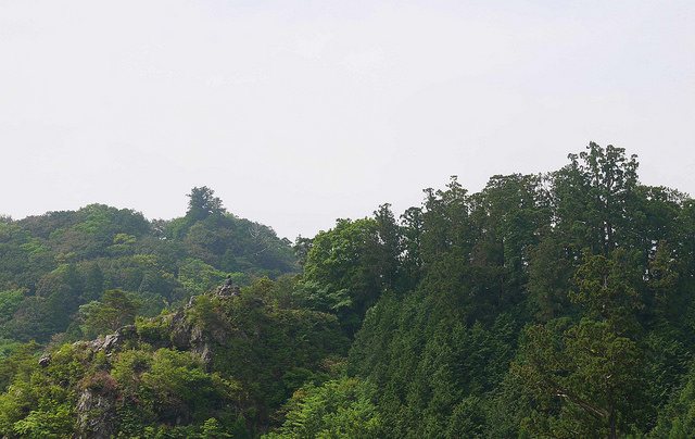 搭西日本最長空中纜車 朝聖弘法大師曾修行的「太龍嶽」_img_15
