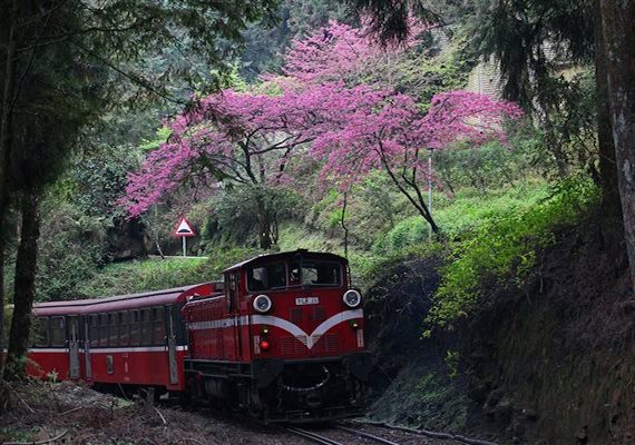 看看這些你不曾見過的絕美景點！台灣十大絕美車站_img_3