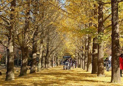 韓國旅行必去十大景點 趕快記下來一一攻略！_img_4