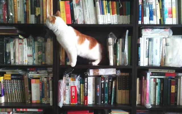 北京開設「繁體字咖啡館」!中外文青紛上門練字!_img_2