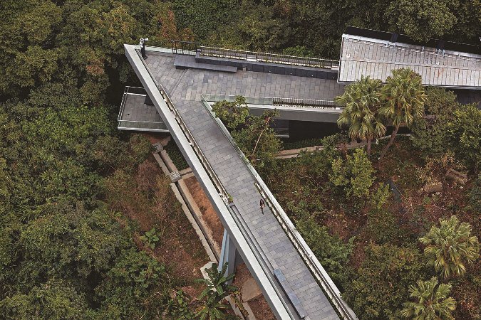 柳暗花明的城市藝術綠洲 － 亞洲協會香港中心_img_5