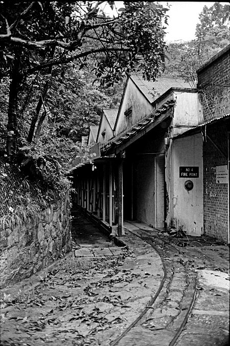 柳暗花明的城市藝術綠洲 － 亞洲協會香港中心_img_2