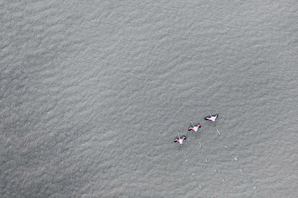 遊走於飄渺的虛實之間！澄澈透明感攝影紀錄非洲南方之美！_img_4