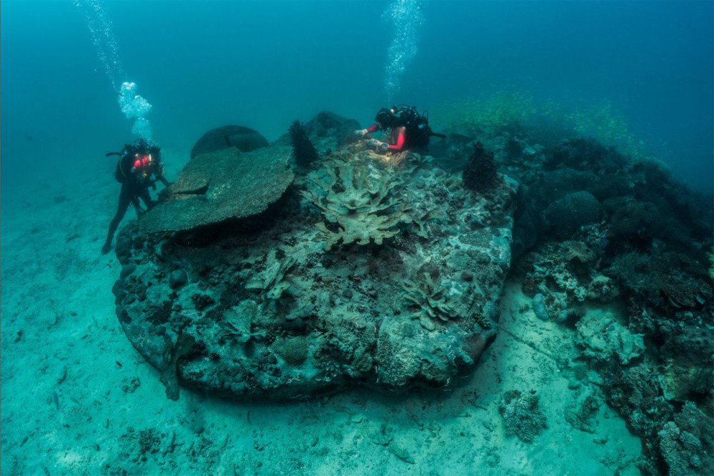 最具爭議英國藝術家 展覽大秀深海寶物！_img_4