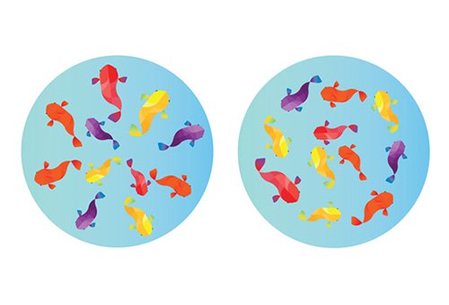 下雨不愁！創意街上壁畫讓繽紛馬路成為雨天限定風景！_img_8