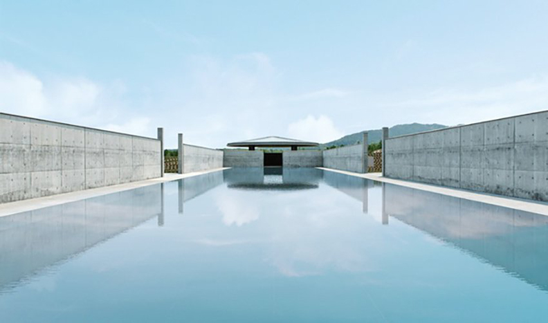 安藤忠雄充滿禪意的北海道靈園設計:用15萬株薰衣草圍繞大佛_img_4