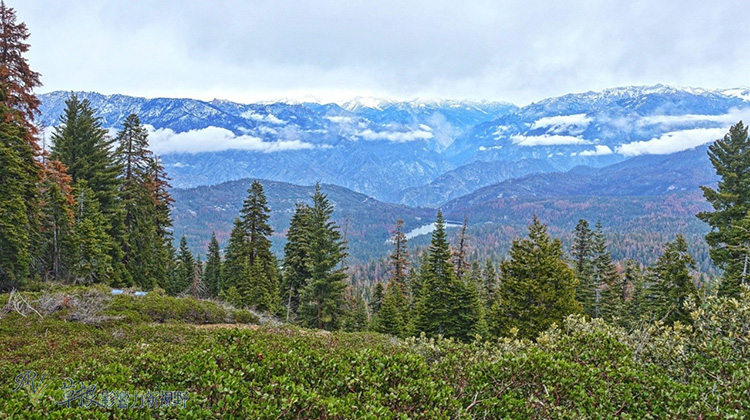加州紅杉樹國家公園參見全世界最大的樹！_img_15