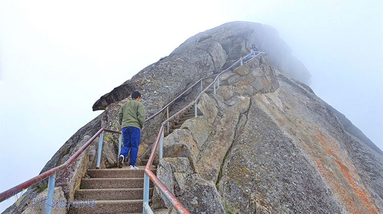 加州紅杉樹國家公園參見全世界最大的樹！_img_27