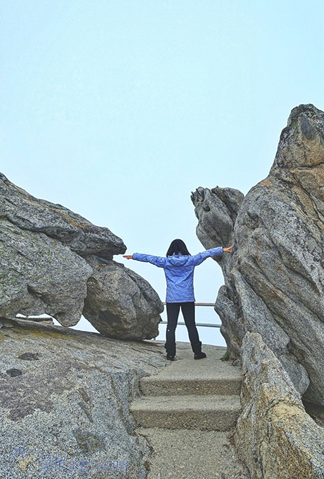 加州紅杉樹國家公園參見全世界最大的樹！_img_28