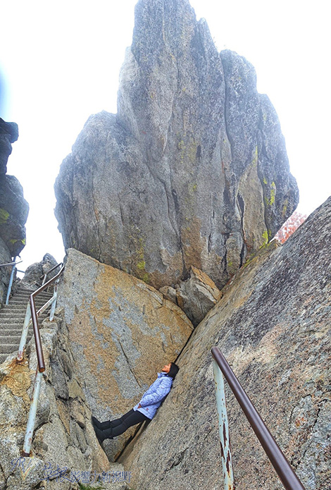 加州紅杉樹國家公園參見全世界最大的樹！_img_30