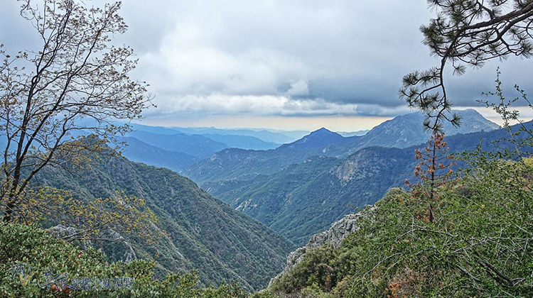 加州紅杉樹國家公園參見全世界最大的樹！_img_31