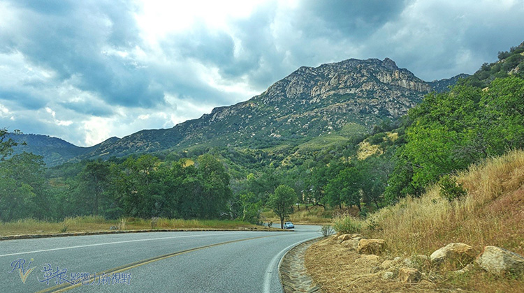 加州紅杉樹國家公園參見全世界最大的樹！_img_32