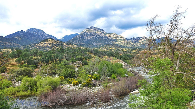 加州紅杉樹國家公園參見全世界最大的樹！_img_33