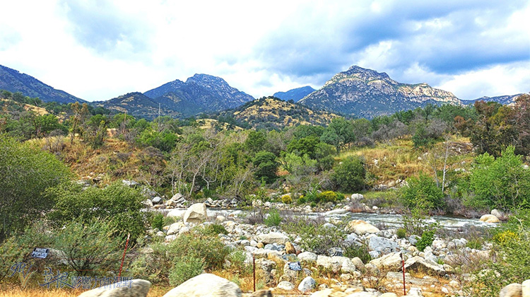 加州紅杉樹國家公園參見全世界最大的樹！_img_34