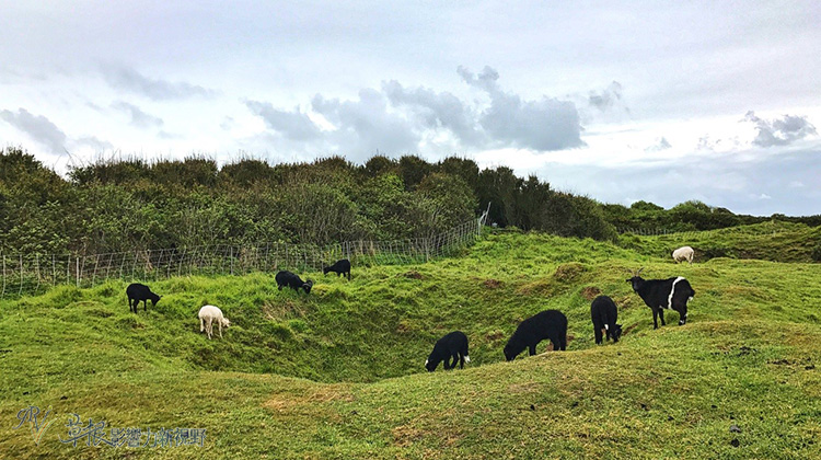 走過二戰傷口：法國諾曼第D-Day海灘_img_22
